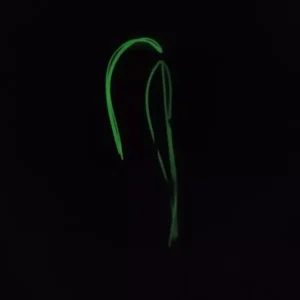 Tenya Assembly JLC Glow