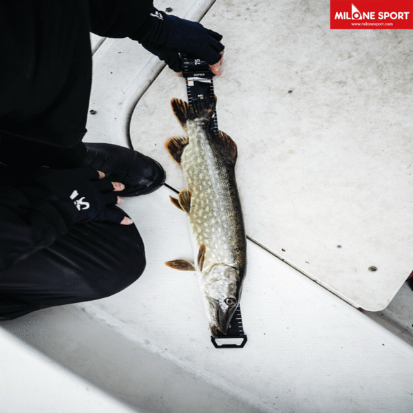 RCD Roll Ruler metro