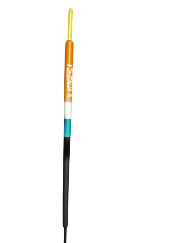 Lion galleggiante Italia