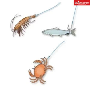 Attacco Rapido Inox