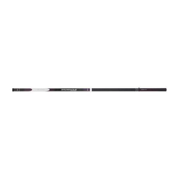 Canna bolognese Daiwa Amorphous Whisker