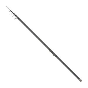 Canna bolognese Konger Altis Series