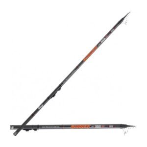 Canna bolognese Sele Winner Bolo 3003