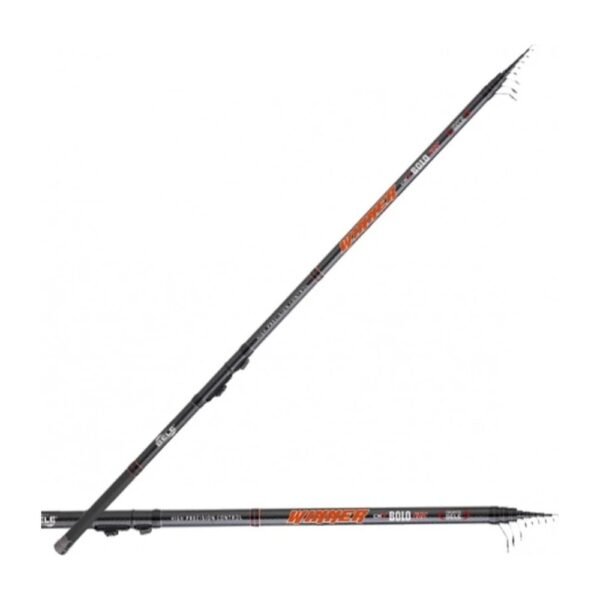 Canna bolognese Sele Winner Bolo 3003