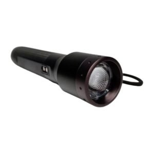 Torcia Ledlenser P6R Core