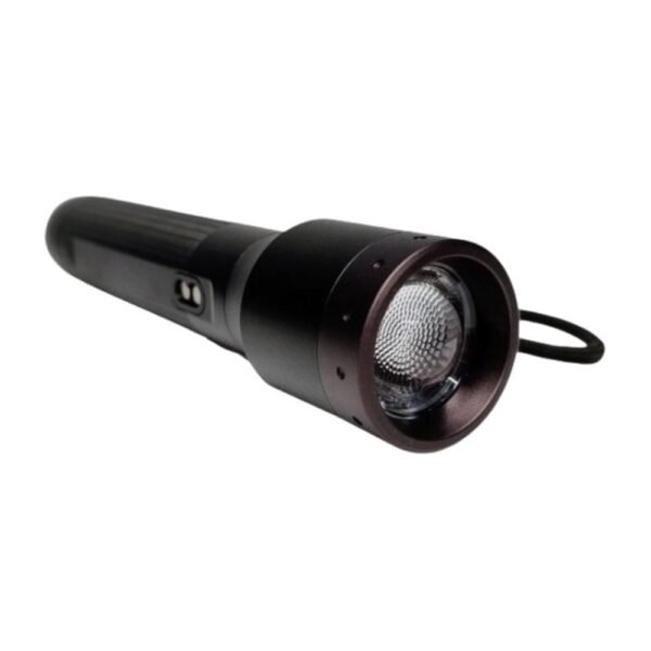 Torcia Ledlenser P6R Core