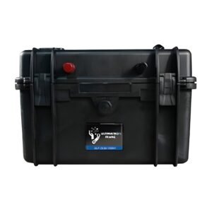 Batteria al litio Ultimatron LiFePO4 ULP-24-100 24V 100Ah