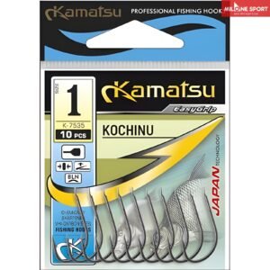 kamatsu-ami-kochinu Ami Kamatsu Kochinu